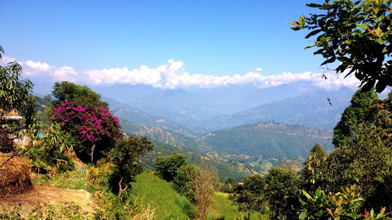 Nepal – Tibetanskt nyårsfirande i rhododendronblomningens tid